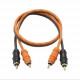DL Audio Gryphon Lite RCA 5M