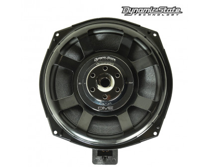 НЧ динамики DST DSW-BMW202P (2ом)