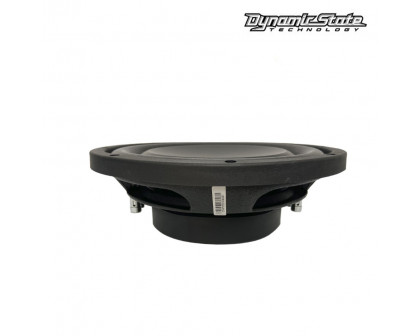Сабвуфер Dynamic State CUSTOM CSW-S25
